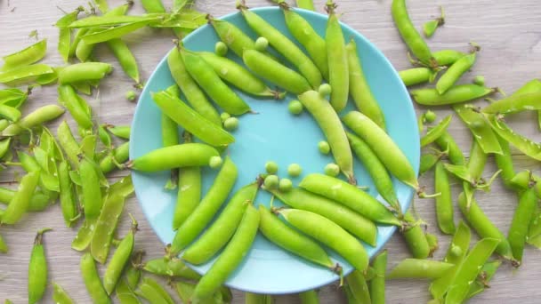 Montón de guisantes verdes frescos que caen sobre las vainas de guisantes verdes de debajo de la cámara. — Vídeos de Stock