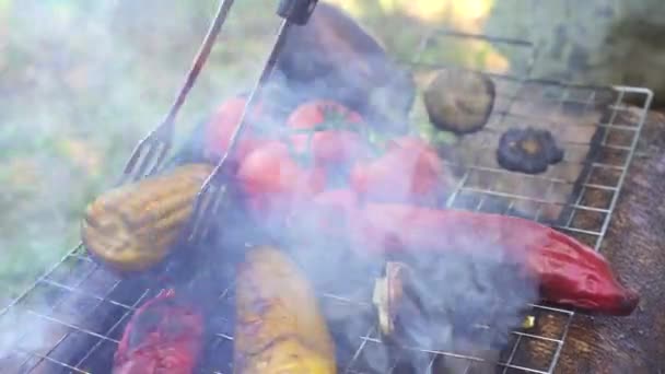 Verduras Parrilla Cocinar Aire Libre Cerca — Vídeo de stock