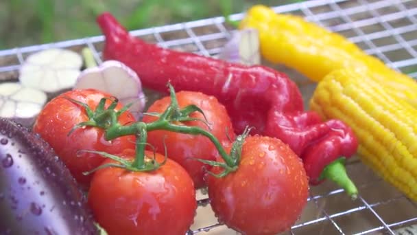 Légumes frais grillés avec des gouttes d'eau sur la grille — Video