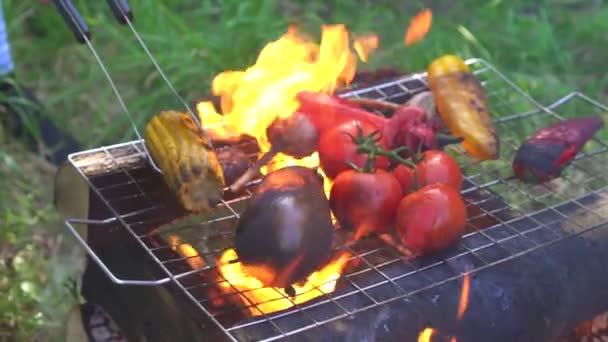 Cozinheiro prepara legumes no fogo na grelha, close-up — Vídeo de Stock