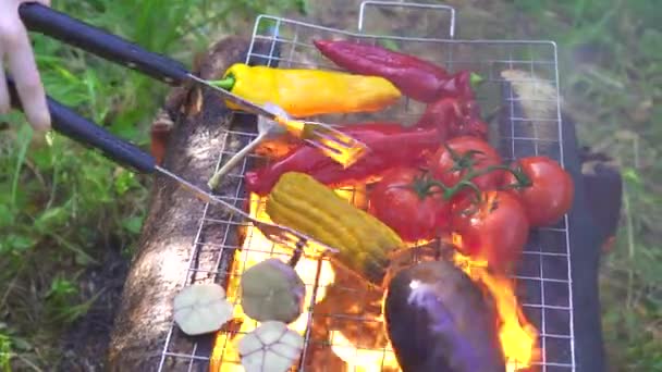 Proceso de cocinar deliciosas verduras a la parrilla con fuego — Vídeo de stock