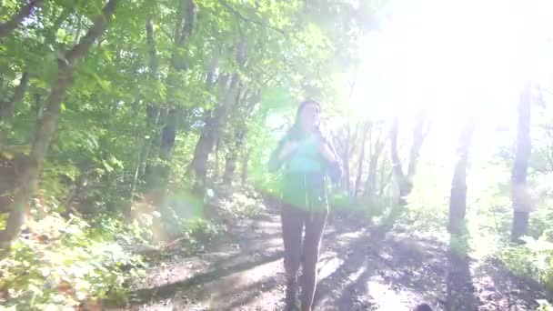 Туристка с рюкзаком идет в лес, солнечный луч — стоковое видео