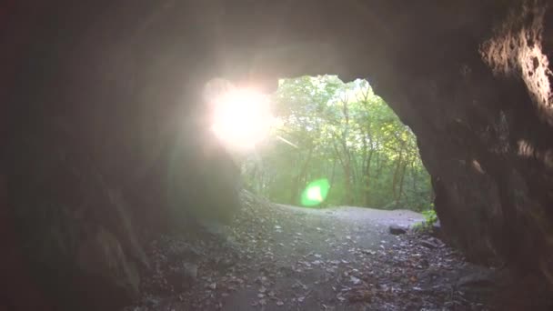 Vista da caverna para a floresta ensolarada — Vídeo de Stock