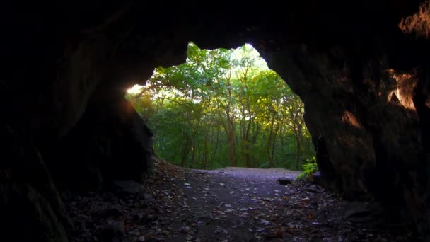 Jaskinia w lesie, widok z jaskini, promienie słońca — Wideo stockowe