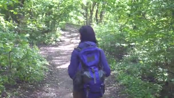 Молодая туристка с рюкзаком на спине, прогуливаясь по лесу с видом сзади — стоковое видео
