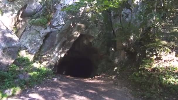 Dunkle Höhle im Wald, Sonne — Stockvideo