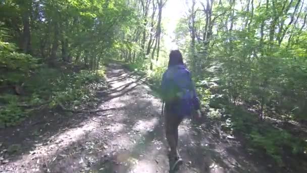 Giovane ragazza turistica con lo zaino sulla schiena passeggiando attraverso la foresta vista posteriore, raggio di sole — Video Stock