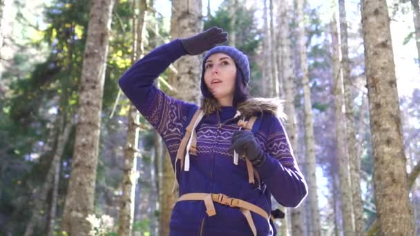 一个旅游女孩的肖像看着森林的背包 — 图库视频影像