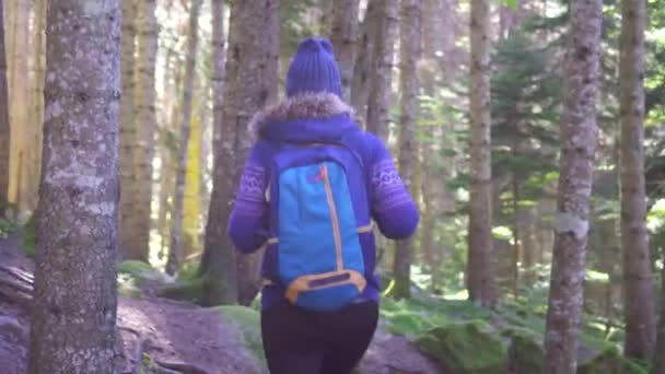 Улыбающаяся туристка выпрямляет рюкзак и отправляется в солнечный лес — стоковое видео