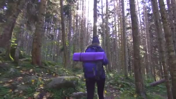 Fille touristique marchant sur la forêt ensoleillée vue arrière — Video