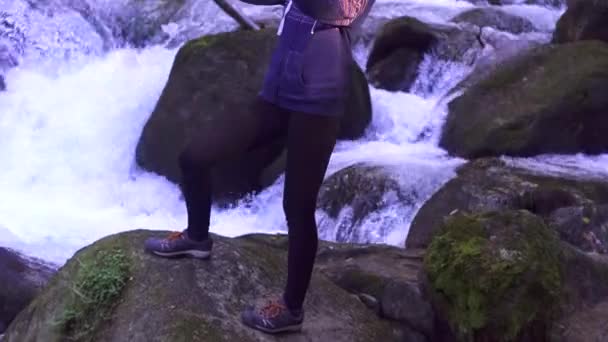 Menina fica em uma pedra na floresta e atira em um rio de montanha — Vídeo de Stock