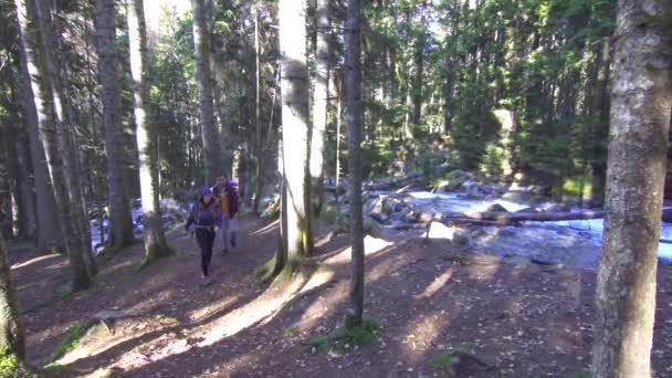 Férfi és a lány a turistákat az erdőben, a hegyi folyó mentén — Stock videók