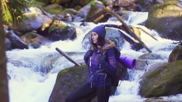 Chica turista de pie sobre una piedra en el bosque cerca de un río de montaña y mirando a la distancia, lento mo — Vídeo de stock