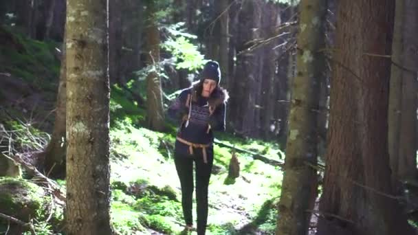 Girl traveler walks through the forest and stops at a tree and looks up — Stock Video