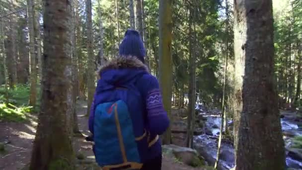 Ragazza turista passeggiando nella foresta lungo il fiume di montagna — Video Stock