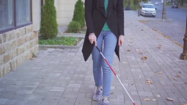 Junge hübsche Frau mit Brille und Stock geht die Straße hinunter — Stockvideo