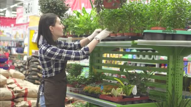 Chica bonita vendedor en un delantal de trabajo con plantas de jardín — Vídeo de stock