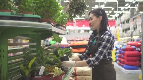 Porträt Einer Hübschen Verkäuferin Einer Abteilung Für Gartenpflanzen Die Die — Stockvideo