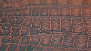 Timsah derisi son derece yakın çekim