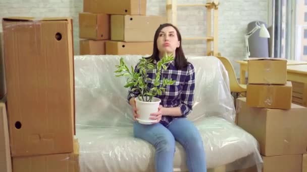 Tired woman with a flower sitting on the couch after moving — Stock Video