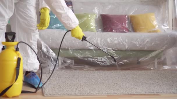 Gros plan de l'exterminateur nettoie le tapis avec un spray — Video