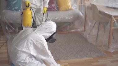 Yakın yukarı iki Exterminators temizlik meşgul