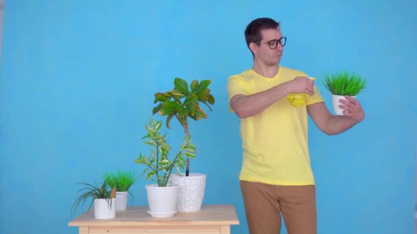 眼鏡をかけた男が自宅のテーブルに植物をスプレーし、カメラを見て微笑む — ストック動画