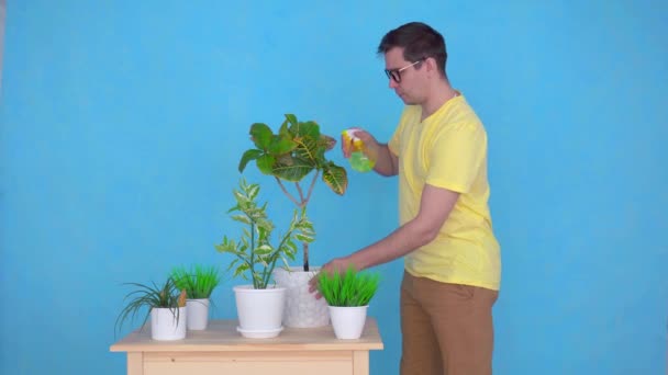 Middelbare leeftijd man sprays en zorgt voor planten op de tafel — Stockvideo