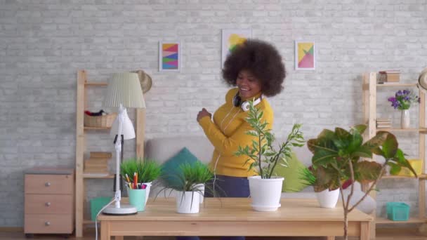 Expresiva bailando positiva Hermosa mujer afroamericana con un peinado afro cuida flores y plantas en apartamentos modernos — Vídeos de Stock