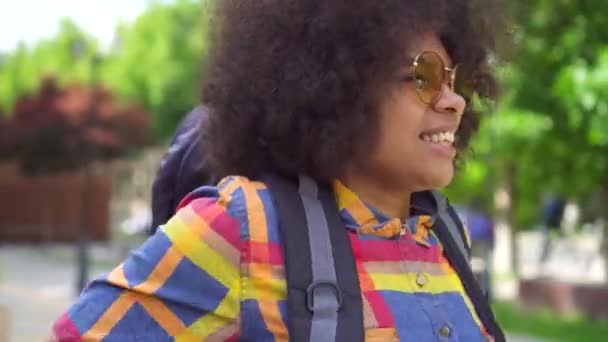 Retrato mulher africana turista com um penteado afro — Vídeo de Stock