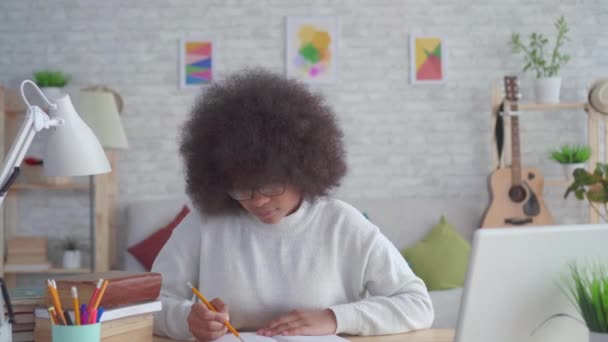 Ritratto africano americano studenti donna con un afro acconciatura sorridente e guardando la fotocamera — Video Stock