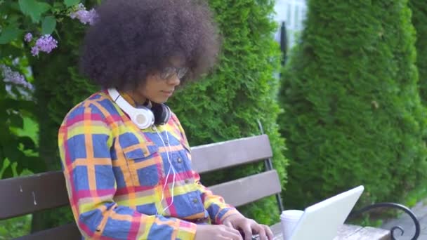 Donna afro-americana con un'acconciatura afro utilizza un computer portatile seduto sulla panchina sulla strada — Video Stock