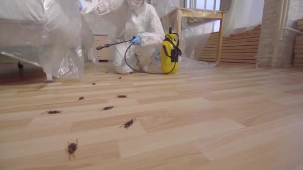 Trabajador de control de plagas con rociador de pie en casa y debajo del sofá — Vídeos de Stock