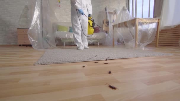 Pracownik kontroli szkodników z opryskiwaczem stojący w domu powolny mo, koncepcja dezynfekcji pomieszczeń — Wideo stockowe