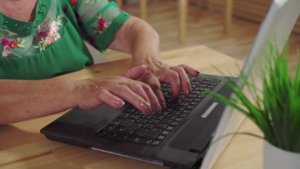 Close up of an elderly womans hands using a laptop — Stock Video