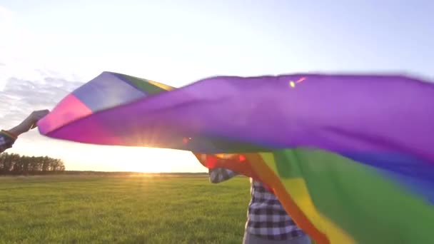 Twee jonge lesbische meisjes in shirts gaan op het veld bij zonsondergang met een LGBT-vlag slow mo close-up — Stockvideo