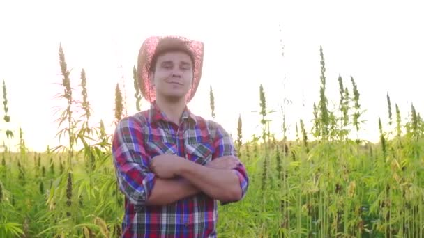 Portrait agriculteur positif dans un champ avec du cannabis dans les rayons du soleil couchant — Video