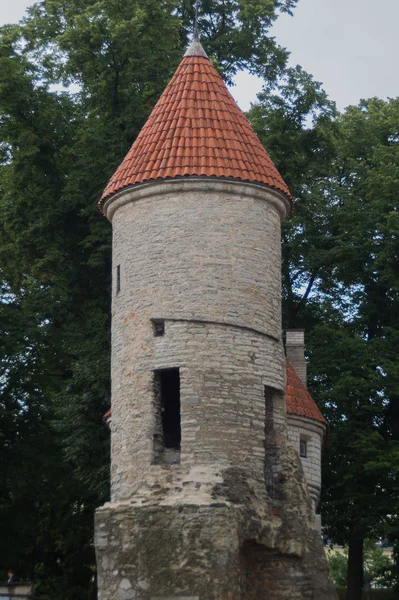 Antigua torre del castillo Tallin Estonia —  Fotos de Stock