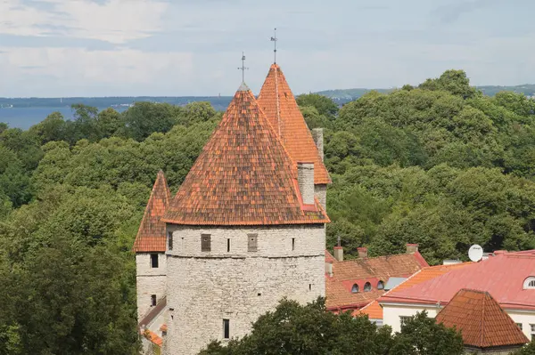 Városkép a régi vártornyok Tallinn Észtország — Stock Fotó