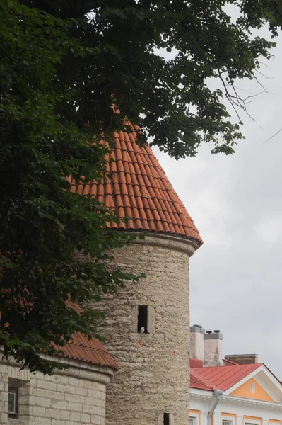 Oude kasteeltoren Tallinn Estland — Stockfoto