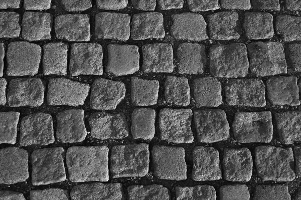 Texture pavée en pierre noir et blanc. fond pavé — Photo