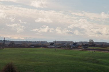 Yeşil çayır ve Orman Peyzaj. alan arka planı