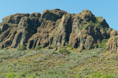 Yoğun yeşil orman arka plan ile dağ