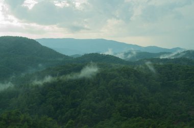 Sis arka planda orman ile dağ peyzaj