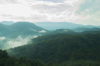 Sis arka planda orman ile dağ peyzaj