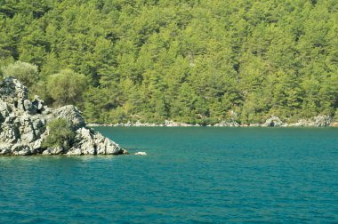 Dağ ve deniz. Orman ve kaya arka plan ile kıyı şeridi