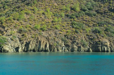 Dağ ve deniz. Orman ve kaya arka plan ile kıyı şeridi