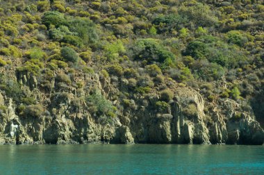 Dağ ve deniz. Orman ve kaya arka plan ile kıyı şeridi