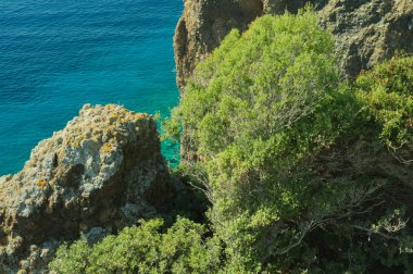 Dağ ve deniz. Orman ve kaya arka plan ile kıyı şeridi