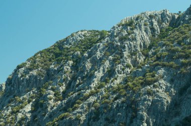 Büyümüş dağ arka planı